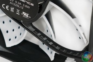rear of fan