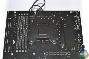 backplate