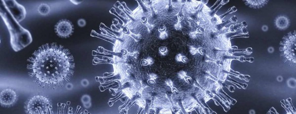 nanoparticles