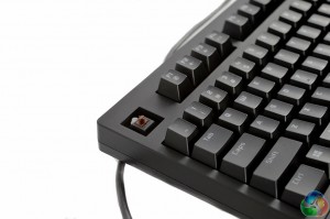 Tesoro Brown Switch