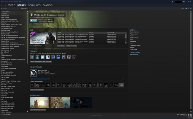 Steam screenshot
