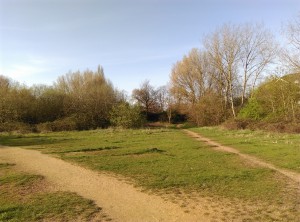 IMAG0011