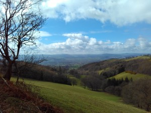 IMG_20150404_134713