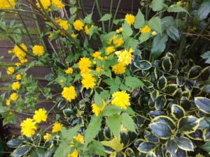 IMG_20150412_171453