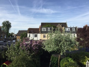 IMG_0141