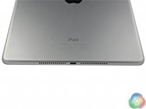 bottom-back