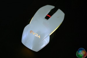 evgalighting01