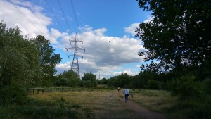 20150622_175109_HDR