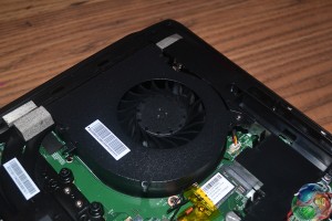fan