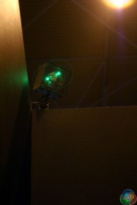 IMG_4925