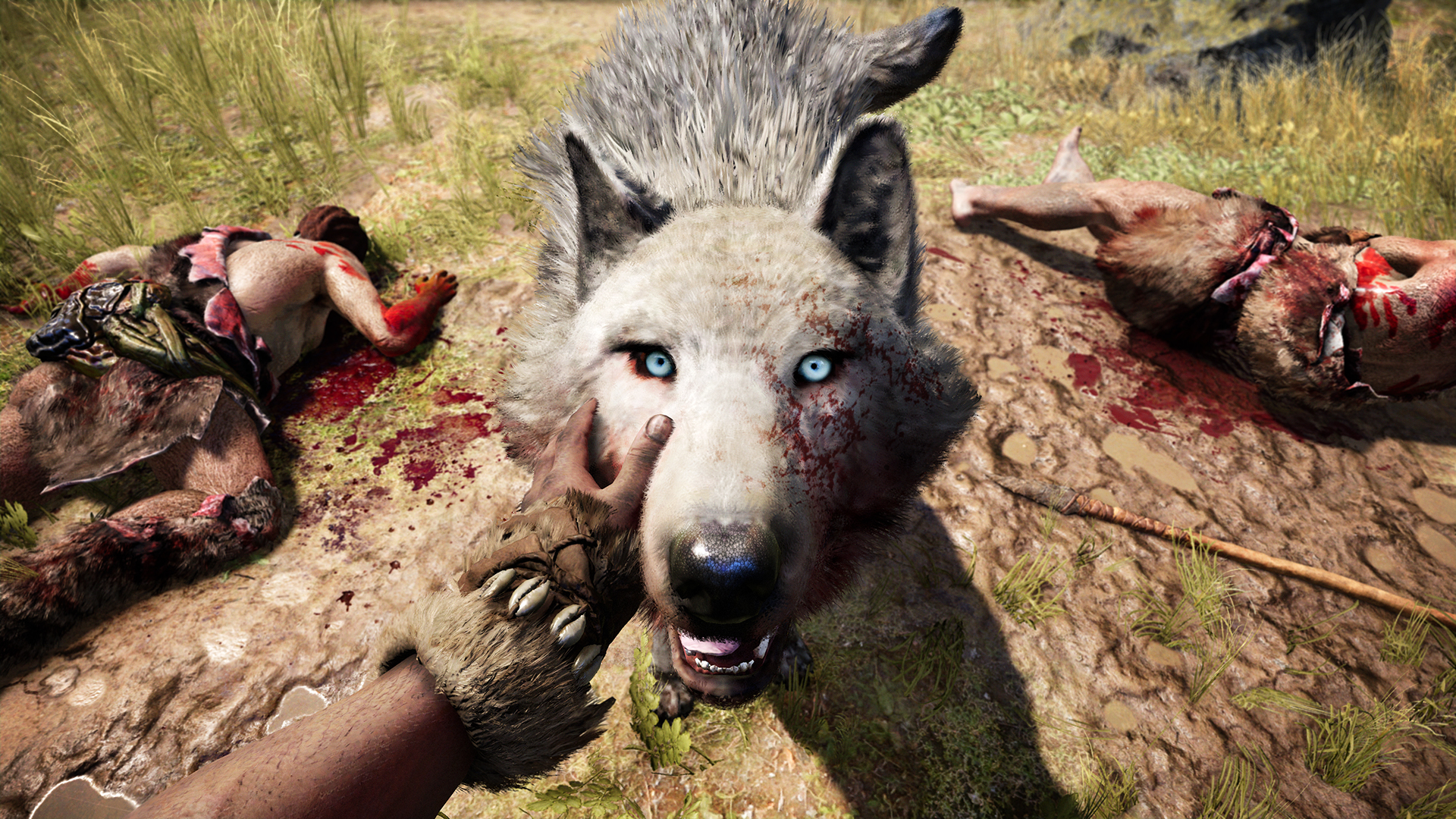 2974431-fcp_screen_pet_wolf_beastmaster_reveal_151204_5am_cet