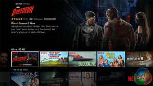 Android TV Netflix