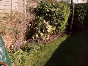 IMG_20160414_165212