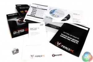fierce_bits2