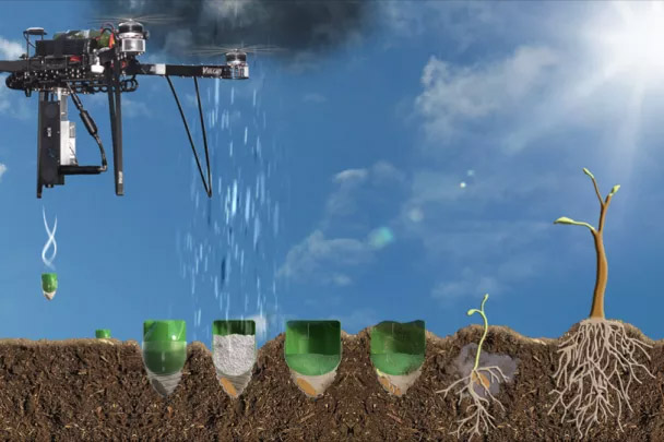 dronetrees2