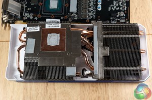 L1000274 1