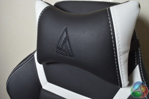 PL6000 Head Cushion