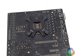 backplate