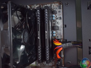 ram