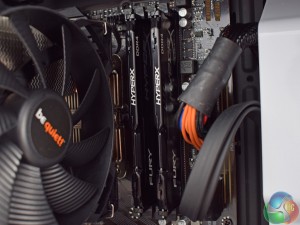 ram