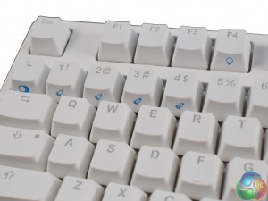 white-fn