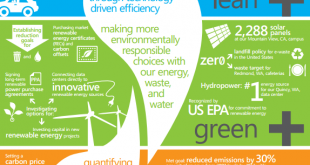 Microsoft Green