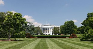 White_House_lawn