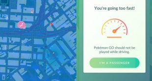 pgopatch-1024x914.jpg