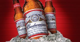bud.jpg