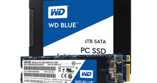 wdbluegreenssd-2-640x427-c.jpg