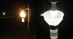 lighttrap.jpg