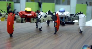 IMG_6820.jpg