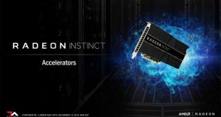 instinct-18.jpg